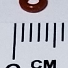 O-Ring - 1.5mm x 1.0mm (10/bag)