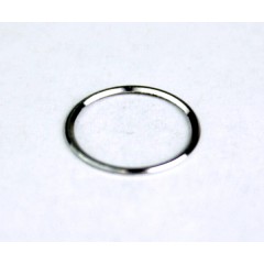 Wolf Ocular Housing Eyepiece Sealing Ring For Panoview 10.00mm 0Ë Laparascope