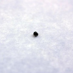 1.00mm X 0.15mm X 1.00mm Slotted Set Screw 1.00mm X 0.15mm X 1.00mm Slotted Set Screw