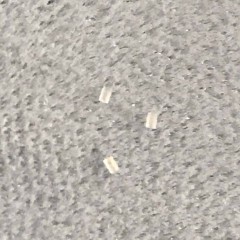 Objective Lens Ø 0.55 R=0.40 TH=0.65 (TH = 0.40 plus aperture)