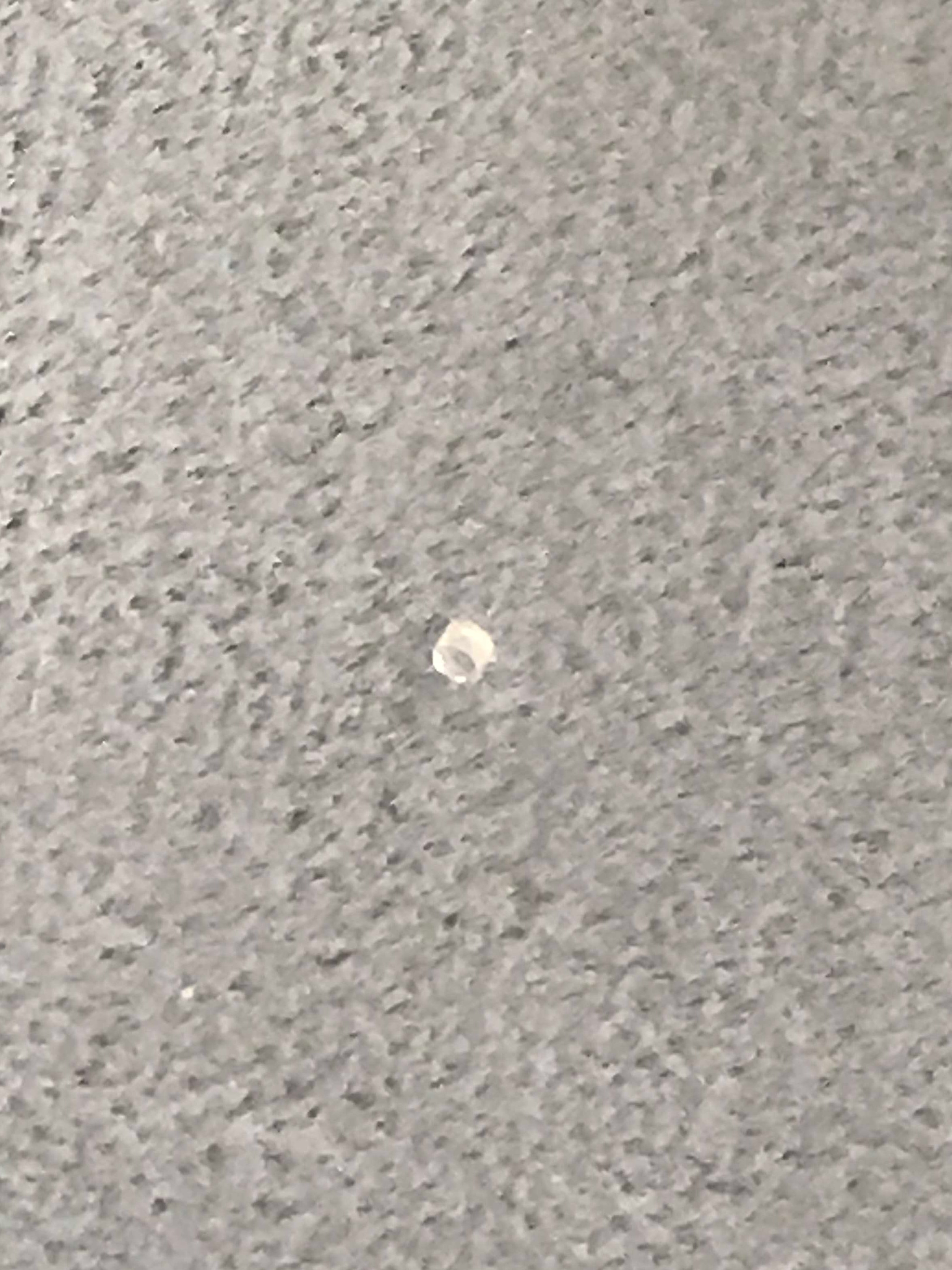 Objective Lens Ø 0.90 R=0.98 TH=1.09