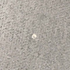 Objective Lens Ø 0.90 R=0.68 TH=0.80 Objective Lens Ø 0.90 R=0.68 TH=0.80