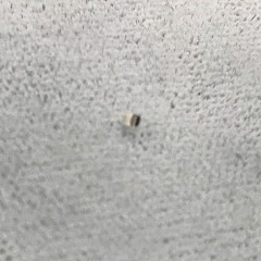 Objective Lens Ø 1.00 R=0.93 TH= 1.25 (OBL TH = 0.85 + plus aperture TH = 0.40 ) Objective Lens Ø 1.00 R=0.93 TH= 1.25 (OBL TH = 0.85 + plus aperture TH = 0.40 )